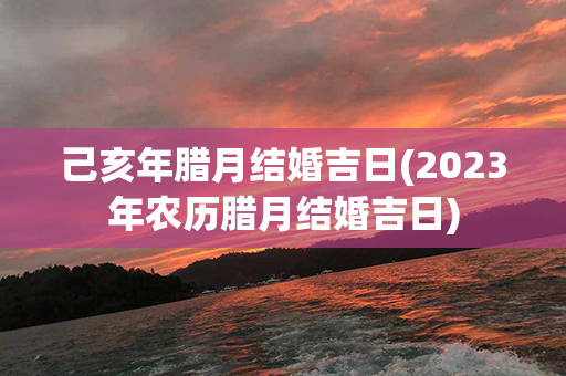 己亥年腊月结婚吉日(2023年农历腊月结婚吉日)