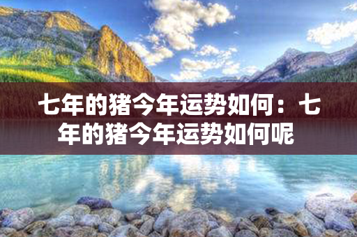 七年的猪今年运势如何：七年的猪今年运势如何呢 