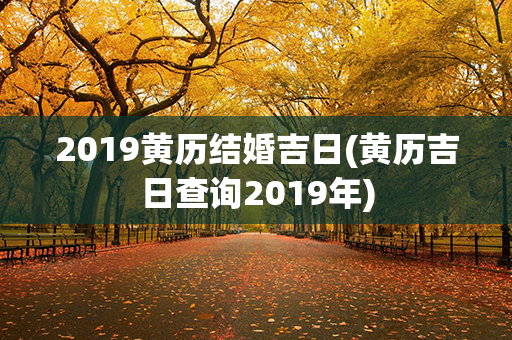 2019黄历结婚吉日(黄历吉日查询2019年)