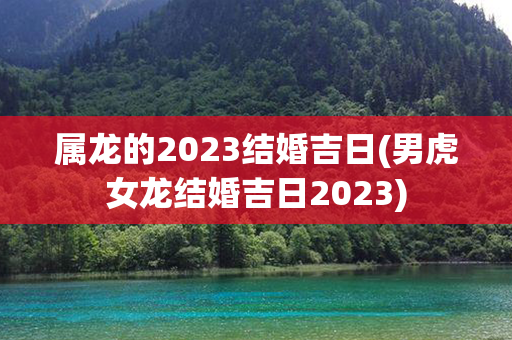 属龙的2023结婚吉日(男虎女龙结婚吉日2023)