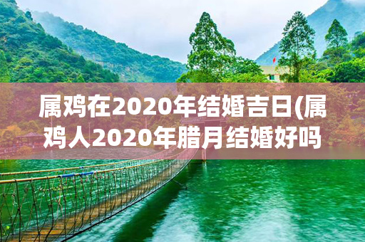 属鸡在2020年结婚吉日(属鸡人2020年腊月结婚好吗)