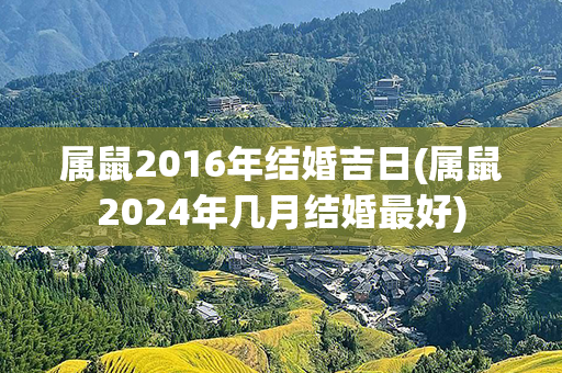 属鼠2016年结婚吉日(属鼠2024年几月结婚最好)