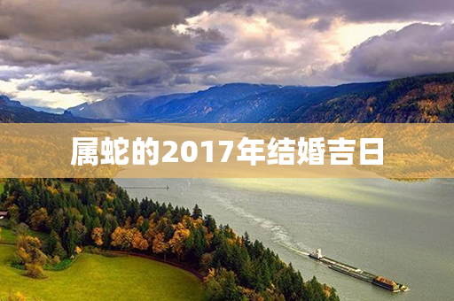 属蛇的2017年结婚吉日