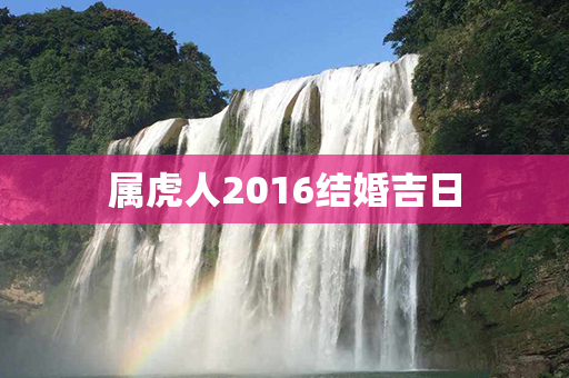 属虎人2016结婚吉日