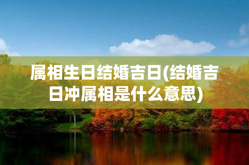 属相生日结婚吉日(结婚吉日冲属相是什么意思)