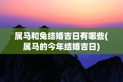 属马和兔结婚吉日有哪些(属马的今年结婚吉日)