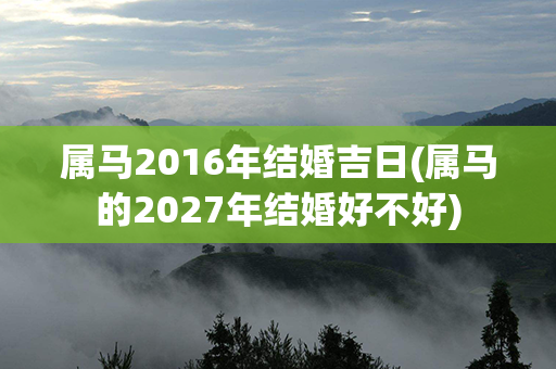 属马2016年结婚吉日(属马的2027年结婚好不好)