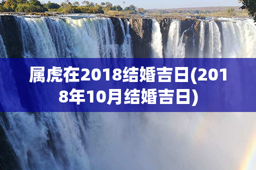 属虎在2018结婚吉日(2018年10月结婚吉日)