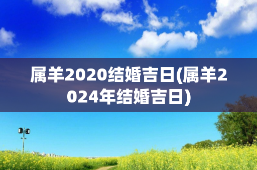 属羊2020结婚吉日(属羊2024年结婚吉日)