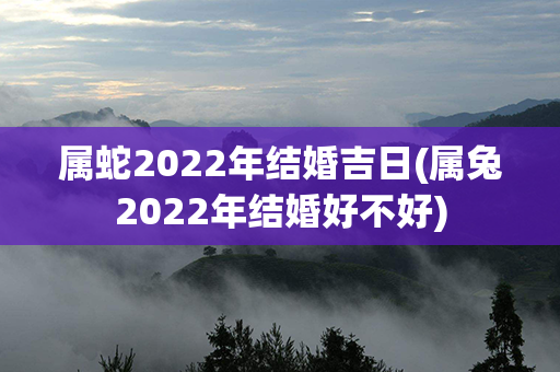 属蛇2022年结婚吉日(属兔2022年结婚好不好)