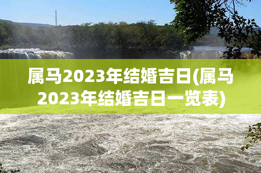 属马2023年结婚吉日(属马2023年结婚吉日一览表)