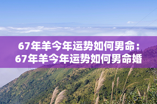 67年羊今年运势如何男命：67年羊今年运势如何男命婚姻 