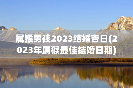 属猴男孩2023结婚吉日(2023年属猴最佳结婚日期)