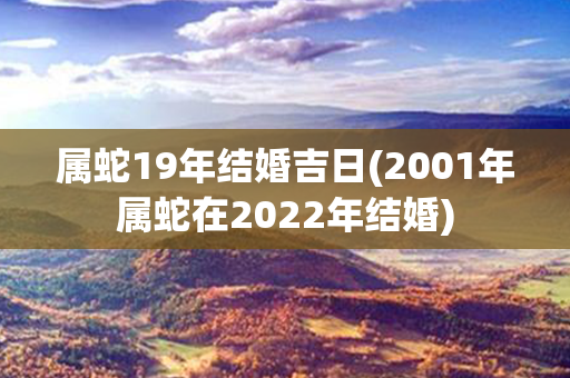 属蛇19年结婚吉日(2001年属蛇在2022年结婚)