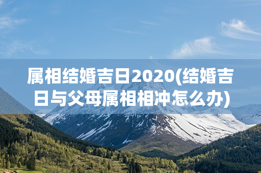 属相结婚吉日2020(结婚吉日与父母属相相冲怎么办)