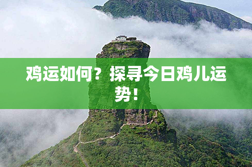 鸡运如何？探寻今日鸡儿运势！