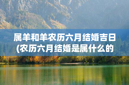 属羊和羊农历六月结婚吉日(农历六月结婚是属什么的)