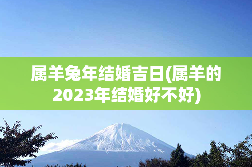 属羊兔年结婚吉日(属羊的2023年结婚好不好)