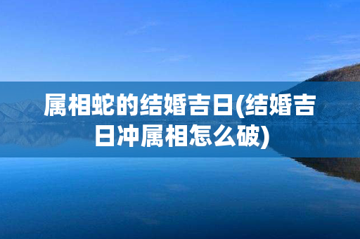 属相蛇的结婚吉日(结婚吉日冲属相怎么破)