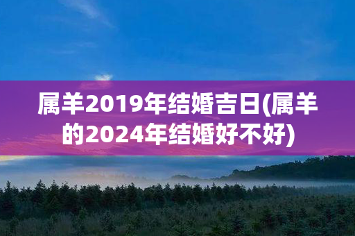 属羊2019年结婚吉日(属羊的2024年结婚好不好)