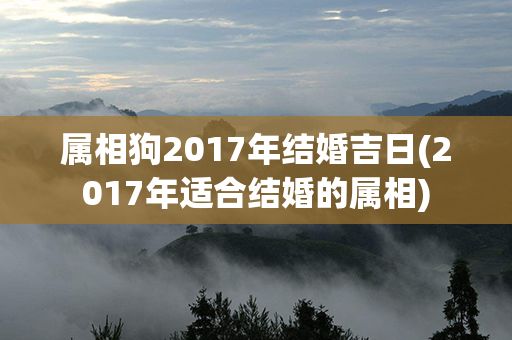 属相狗2017年结婚吉日(2017年适合结婚的属相)