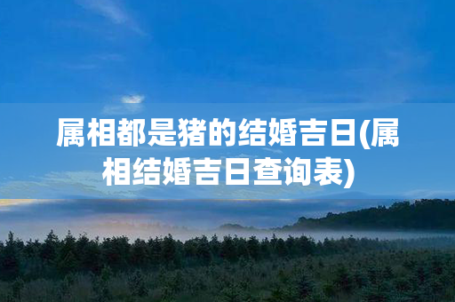 属相都是猪的结婚吉日(属相结婚吉日查询表)