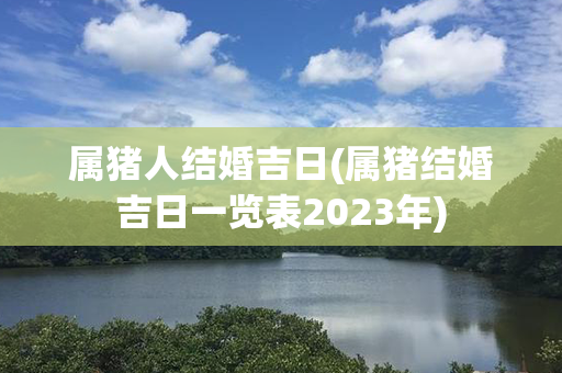 属猪人结婚吉日(属猪结婚吉日一览表2023年)