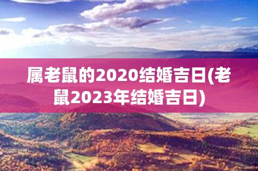 属老鼠的2020结婚吉日(老鼠2023年结婚吉日)