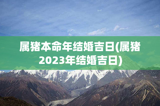 属猪本命年结婚吉日(属猪2023年结婚吉日)