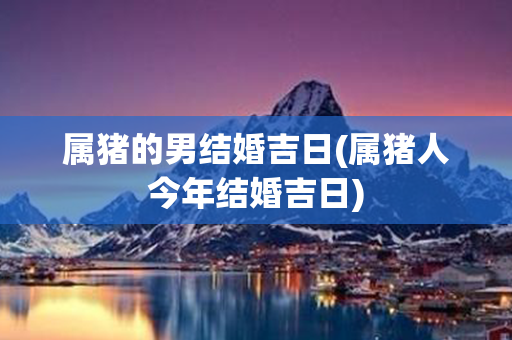 属猪的男结婚吉日(属猪人今年结婚吉日)