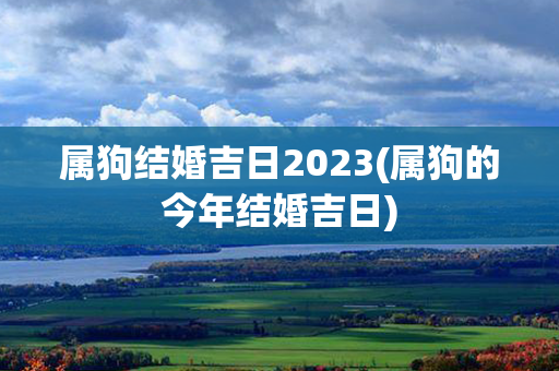 属狗结婚吉日2023(属狗的今年结婚吉日)