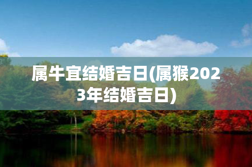 属牛宜结婚吉日(属猴2023年结婚吉日)