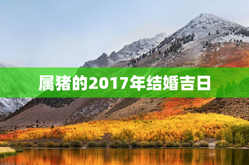 属猪的2017年结婚吉日