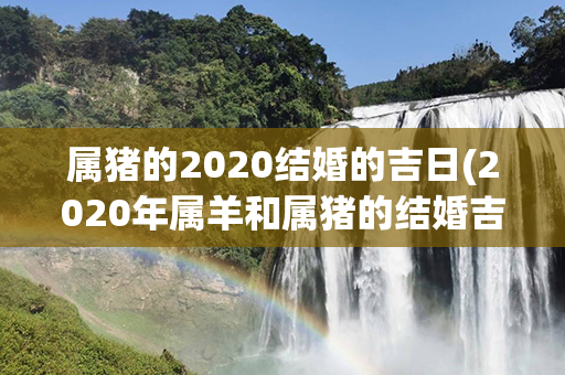 属猪的2020结婚的吉日(2020年属羊和属猪的结婚吉日)