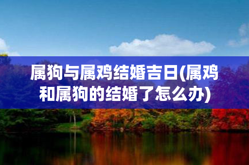 属狗与属鸡结婚吉日(属鸡和属狗的结婚了怎么办)