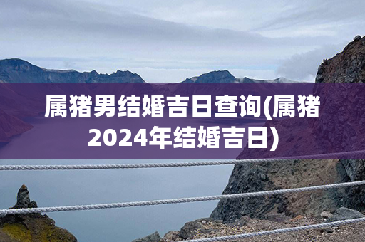 属猪男结婚吉日查询(属猪2024年结婚吉日)