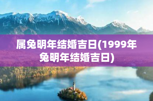 属兔明年结婚吉日(1999年兔明年结婚吉日)