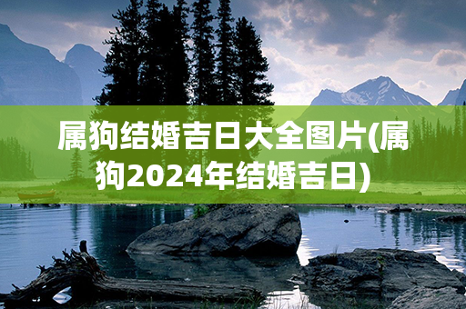 属狗结婚吉日大全图片(属狗2024年结婚吉日)