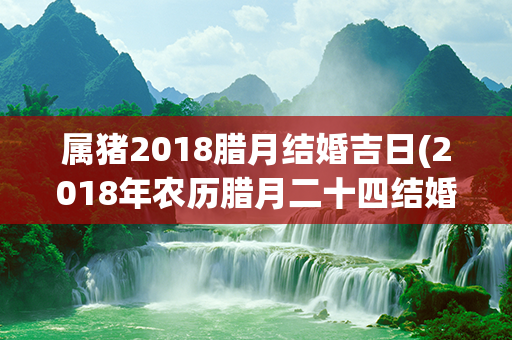 属猪2018腊月结婚吉日(2018年农历腊月二十四结婚好吗)