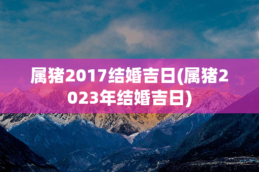 属猪2017结婚吉日(属猪2023年结婚吉日)