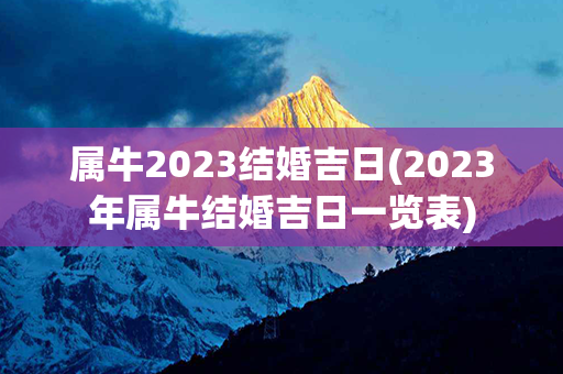 属牛2023结婚吉日(2023年属牛结婚吉日一览表)