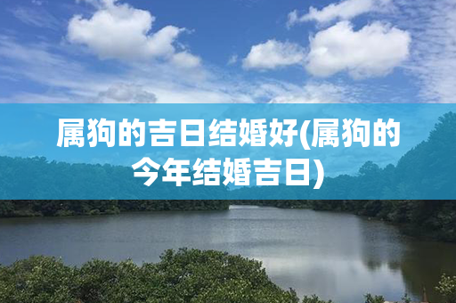 属狗的吉日结婚好(属狗的今年结婚吉日)