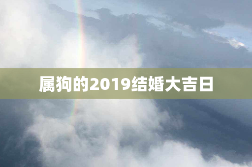 属狗的2019结婚大吉日