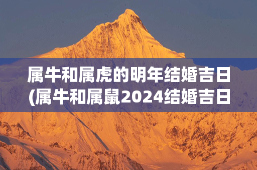 属牛和属虎的明年结婚吉日(属牛和属鼠2024结婚吉日)