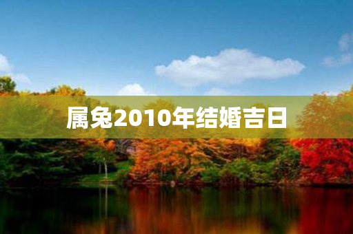 属兔2010年结婚吉日