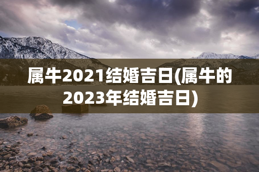 属牛2021结婚吉日(属牛的2023年结婚吉日)