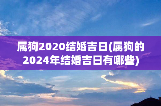 属狗2020结婚吉日(属狗的2024年结婚吉日有哪些)