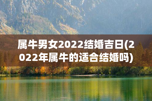 属牛男女2022结婚吉日(2022年属牛的适合结婚吗)