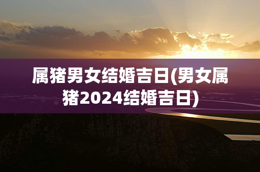 属猪男女结婚吉日(男女属猪2024结婚吉日)