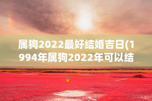 属狗2022最好结婚吉日(1994年属狗2022年可以结婚吗)